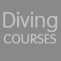 diving courses