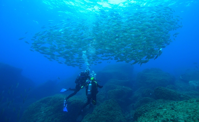 Eco Bautizo de buceo