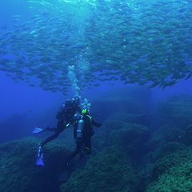 Eco Bautizo de buceo