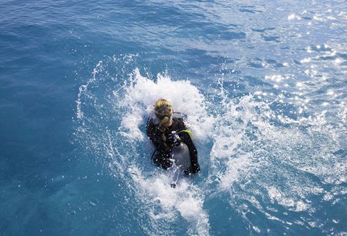 Update - Scuba Diver a Open Water Diver