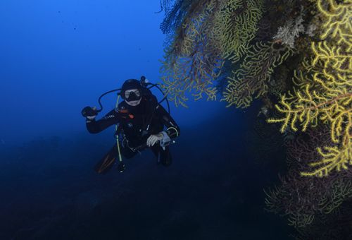 Spécialité · Flottabilité · Peak Performance Buoyancy