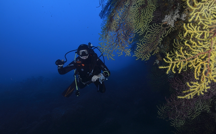 Spécialité · Flottabilité · Peak Performance Buoyancy