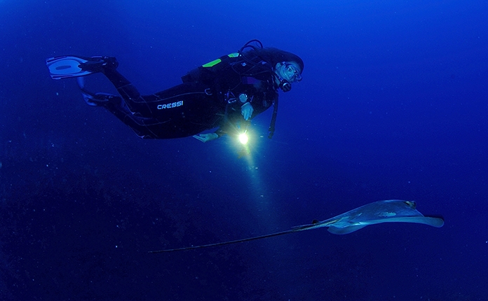 Update · Adventure Diver a Advanced Open Water Diver