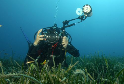 Especialitat · Fotografia · Underwater Photographer