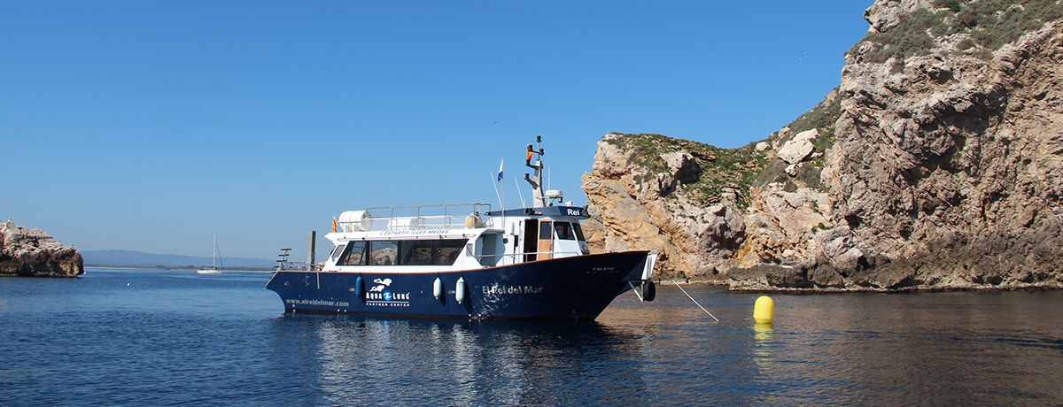 diving estartit boat