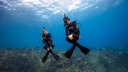 PADI OPEN WATER DIVER COURS